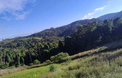 Imagem 3: Fazenda Boa Vista - Fazenda à venda, Piaçu, Muniz Freire, ES