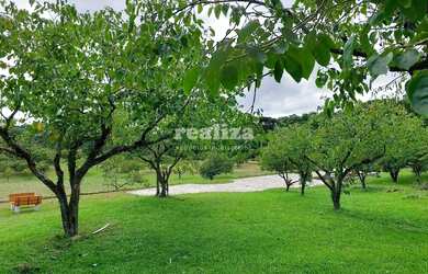 Imagem 4: TERRENO EM GRAMADO. 800m² de Área