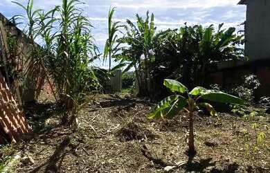 Imagem 6: Terreno em Guaratiba. 360m² de Área