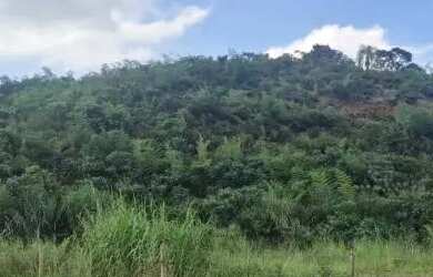 Imagem 6: AREA - PORTÃO - SP. 94.000m² de Área