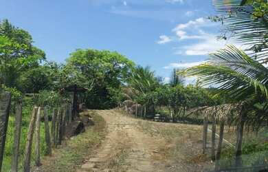 Imagem: A fazenda está localizado em Itajuípe, BA à venda por R$300.000