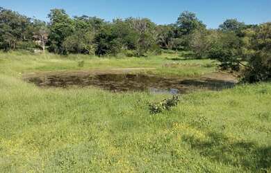 Imagem: A fazenda possui 43.560m² de Área e está localizado em Jaguara