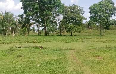 Imagem 4: Venda de fazendo. 400.000m² de Área