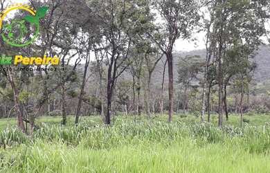 Imagem 6: FAZENDA À VENDA EM JAÚ - TO - DE 276 HECTARES PECUÁRIA