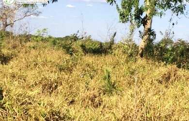 Imagem 3: FAZENDA A VENDA EM FORMOSO DO ARAGUAIA -TO - 1694 HEC (DUPLA APTIDÃO