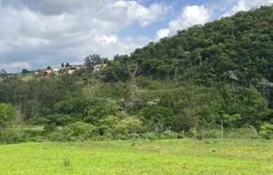 Imagem 5: Terrenos com vista para mata