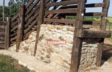 Imagem 10: Fazenda 36 alquieres 174,24 hectares Edealina - Go