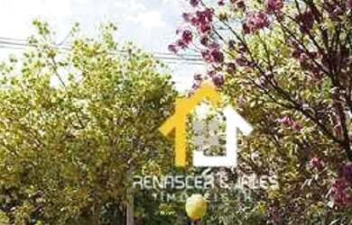 Imagem 6: Terreno à venda, 200 m² por R$ 100.000 - Estância Santa Catarina -...