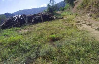 Imagem 2: Fazenda Boa Vista - Fazenda à venda, Piaçu, Muniz Freire, ES