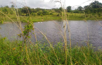 Imagem 9: Baixou preço 470 hectares na região norte do Pará por R$3 mil por hectare
