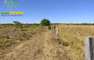 Imagem 9: FAZENDA À VENDA NO VALE DO ARAGUAIA - TO 150.04 HECTARES DUPLA APTIDÃO