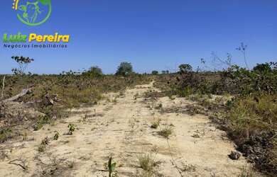 Imagem 15: FAZENDA À VENDA NO VALE DO ARAGUAIA - TO 150.04 HECTARES DUPLA APTIDÃO