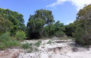 Imagem 15: RE/MAX Safira Vende Lotes no Condomínio Village Trancoso,- Ba