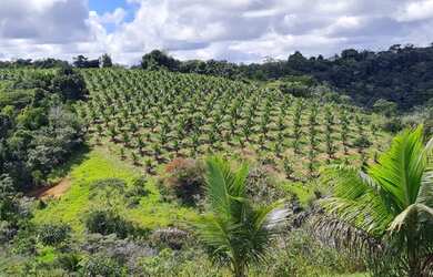 Imagem: A fazenda possui 900.000m² de Área e está localizado em
