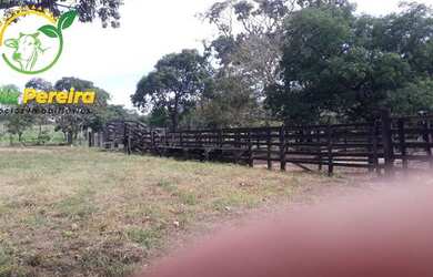 Imagem 12: FAZENDA À VENDA EM JAÚ - TO - DE 276 HECTARES PECUÁRIA
