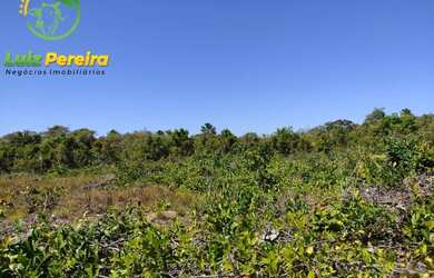 Imagem 1: FAZENDA À VENDA NO VALE DO ARAGUAIA - TO 150.04 HECTARES DUPLA APTIDÃO