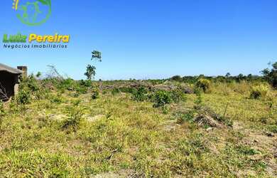 Imagem 6: FAZENDA À VENDA NO VALE DO ARAGUAIA - TO 150.04 HECTARES DUPLA APTIDÃO