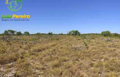 Imagem 8: FAZENDA À VENDA NO VALE DO ARAGUAIA - TO 150.04 HECTARES DUPLA APTIDÃO
