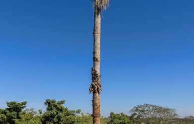 Imagem 7: Maravilhosa Residencia Condomínio Quinta da Baroneza