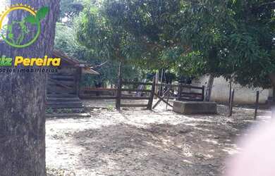 Imagem 14: FAZENDA À VENDA EM JAÚ - TO - DE 276 HECTARES PECUÁRIA