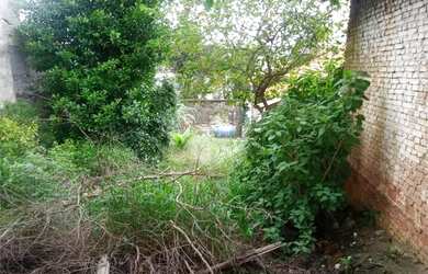 Imagem 12: Terreno na Zona Leste