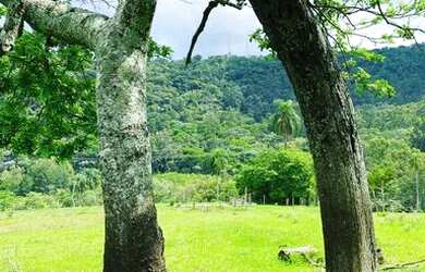 Imagem 2: VENDE-SE TERRENOS ATIBAIA