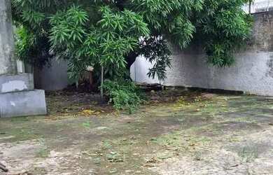 Imagem 10: Alugo casa perto da avenida dos Holandeses na Altura do Retorno cohama/litorânea