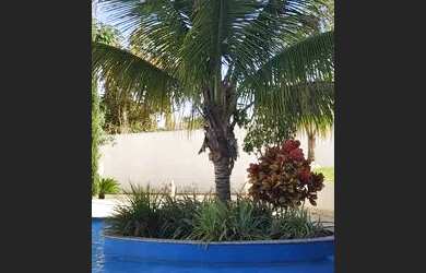 Imagem 6: Vendo ou troco por carro,Apartamento localizado no Encontro das Aguas...