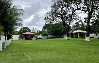 Imagem 13: Sitio na região do novo iguape