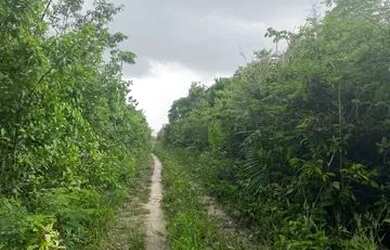 Imagem: A fazenda possui 350.000m² de Área e está localizado em