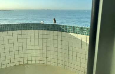 Imagem 2: Apartamento Apartamento com 3 dormitórios