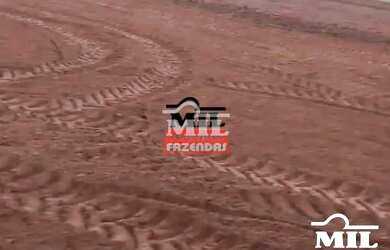 Imagem 12: Fazenda 90 Alqueires 440 Hectares Caiaponia - GO