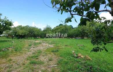 Imagem 10: TERRENO EM GRAMADO. 800m² de Área