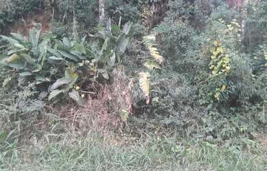 Imagem: O terreno possui 1.095m² de Área e está localizado em Roseira