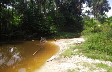 Imagem 7: Baixou preço 470 hectares na região norte do Pará por R$3 mil por hectare