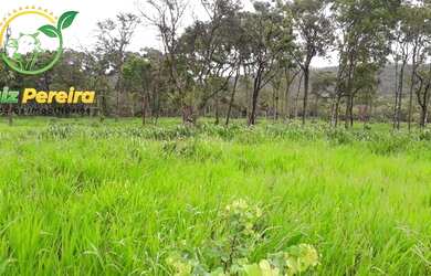 Imagem 1: FAZENDA À VENDA EM JAÚ - TO - DE 276 HECTARES PECUÁRIA