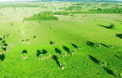 Imagem 3: Venda de fazendo. 400.000m² de Área
