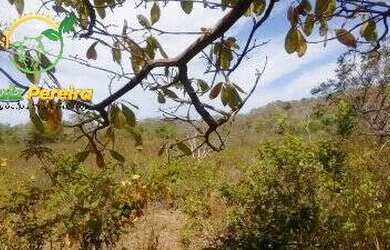 Imagem 5: FAZENDA À VENDA NO ALTO PARNAÍBA - MA DE 6.377 HECTARES Dupla Aptidão