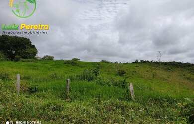 Imagem: A fazenda possui 12.584.000m² de Área e está localizado