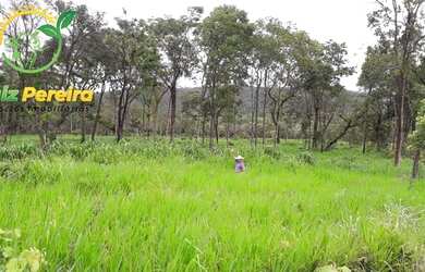 Imagem 2: FAZENDA À VENDA EM JAÚ - TO - DE 276 HECTARES PECUÁRIA