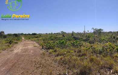 Imagem 11: FAZENDA À VENDA NO VALE DO ARAGUAIA - TO 150.04 HECTARES DUPLA APTIDÃO