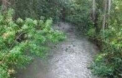 Imagem 3: FAZENDA À VENDA NO ALTO PARNAÍBA - MA DE 6.377 HECTARES Dupla Aptidão