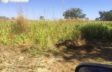 Imagem 5: FAZENDA A VENDA EM FORMOSO DO ARAGUAIA -TO - 1694 HEC (DUPLA APTIDÃO