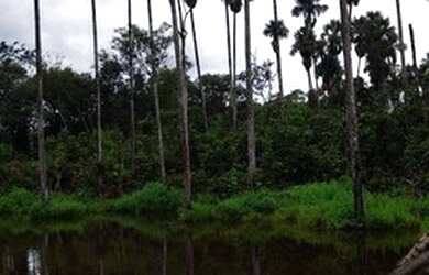 Imagem: A fazenda possui 343.640.000m² de Área, Imóvel novo e está