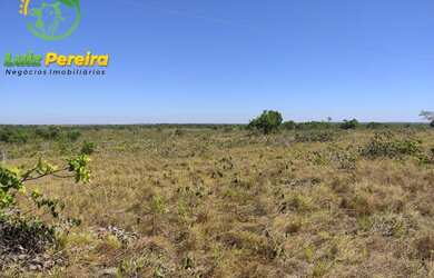 Imagem 2: FAZENDA À VENDA NO VALE DO ARAGUAIA - TO 150.04 HECTARES DUPLA APTIDÃO
