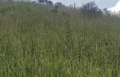 Imagem 10: Terreno em Nazaré Paulista