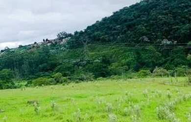 Imagem 8: Terrenos com vista para mata