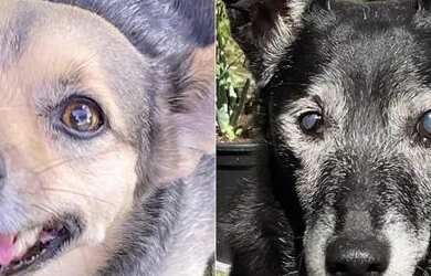 Imagem 6: Divido Casa. Varanda