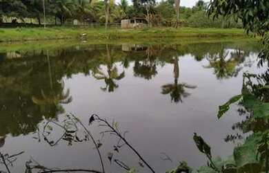 Imagem: A fazenda está localizado em Pedregulho, SP à venda por R$5.520.000