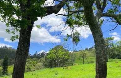 Imagem 3: Terrenos com vista para mata